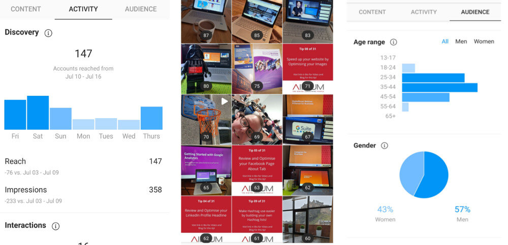 Instagram Insights Reports